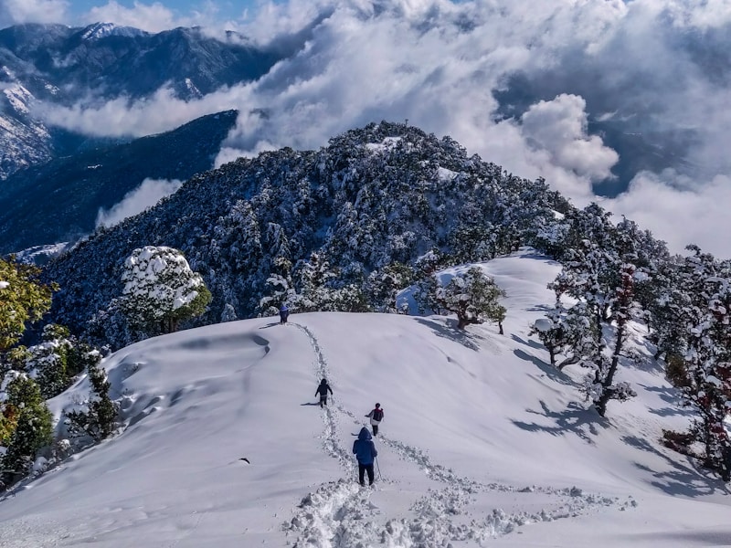 Himachal landscape